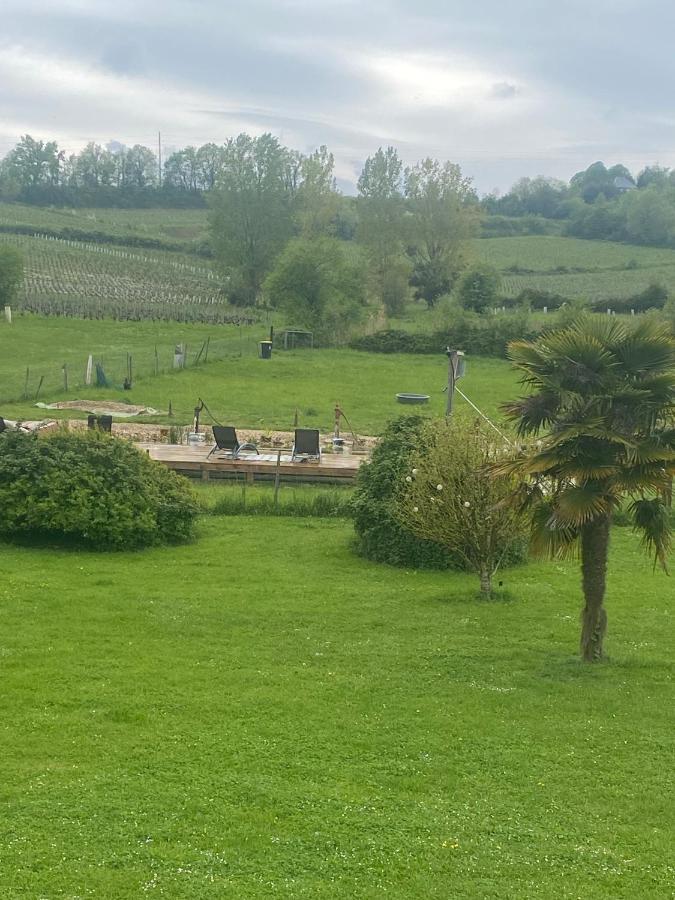 Suite Campagnarde Pres Bordeaux, Vue Sur Les Vignes Au Chateau Camponac Bourg-sur-Gironde Luaran gambar